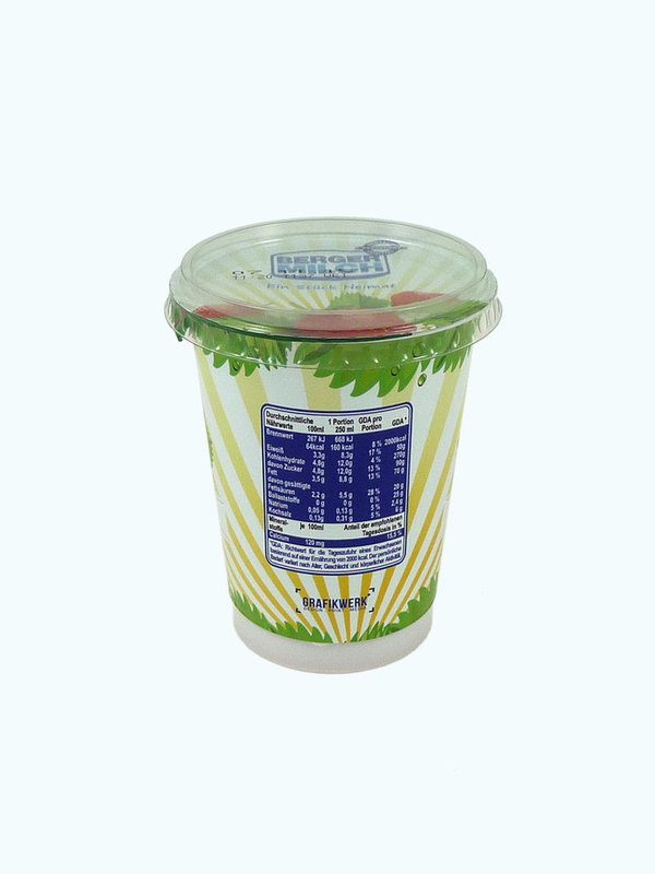 Joghurt Erdbeere 500g (WSA032)